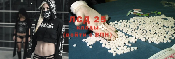 гидра Аркадак