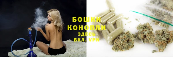 гидра Аркадак