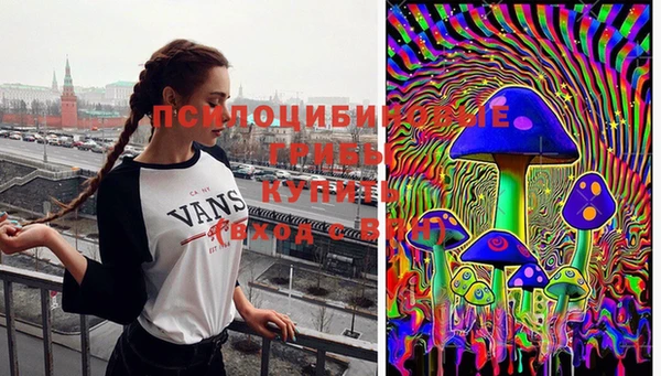 спайс Осташков