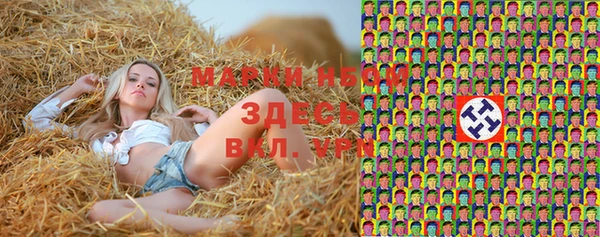 трава Осинники