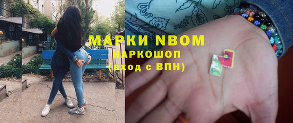 гидра Аркадак