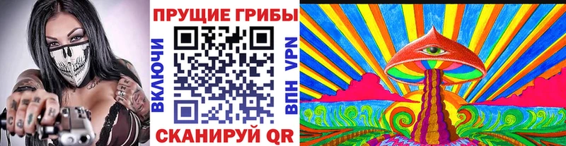 Галлюциногенные грибы Psilocybe  Сергач 