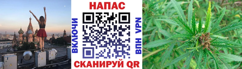 МАРИХУАНА SATIVA & INDICA  omg ТОР  Сергач  где купить наркоту 